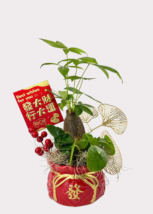 Triple Fortune Wealth Plant Set – Money Tree, ZZ Plant & Pilea