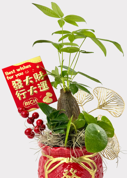 Triple Fortune Wealth Plant Set – Money Tree, ZZ Plant & Pilea