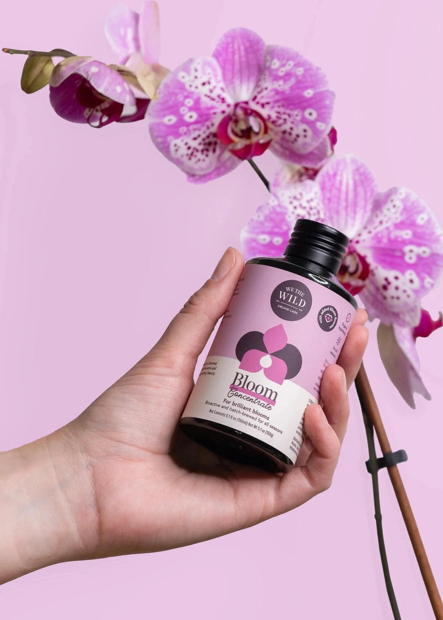 Hand holding a bottle of 'Bloom' product with pink orchids on a pink background