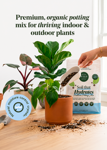 We The Wild Soil That Hydrates Premium Potting Mix 6 Dry Quarts (6.6L)