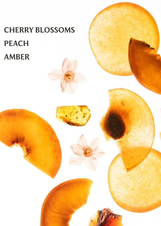 Peach slices and cherry blossoms with 'Cherry Blossoms', 'Peach', and 'Amber' text on a white background.