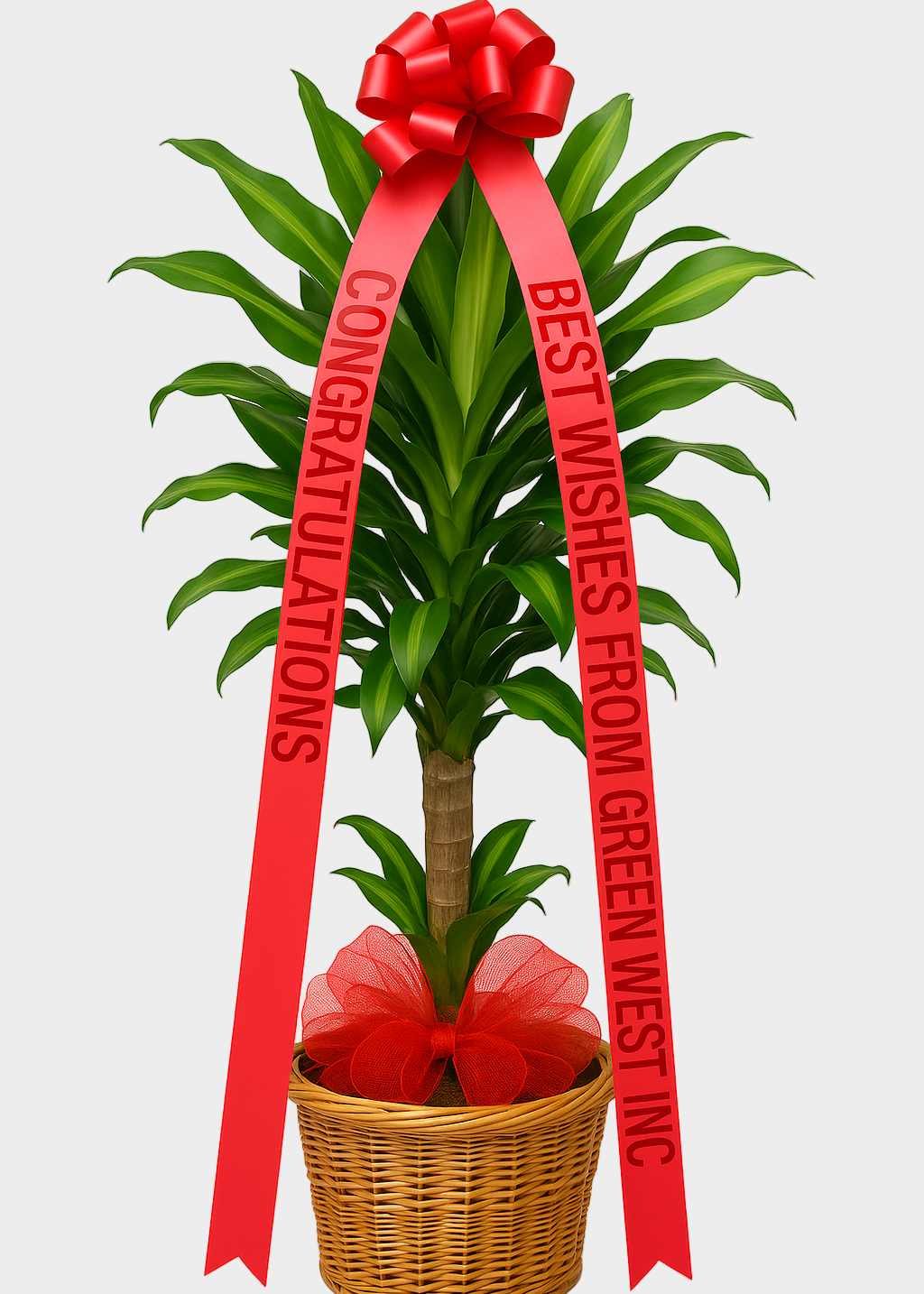 Congratulatory Package With Woven Basket