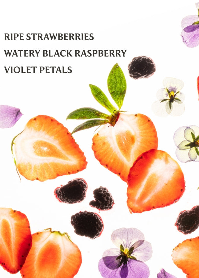 Illustration of ripe strawberries, black raspberries, and violet petals on a white background.