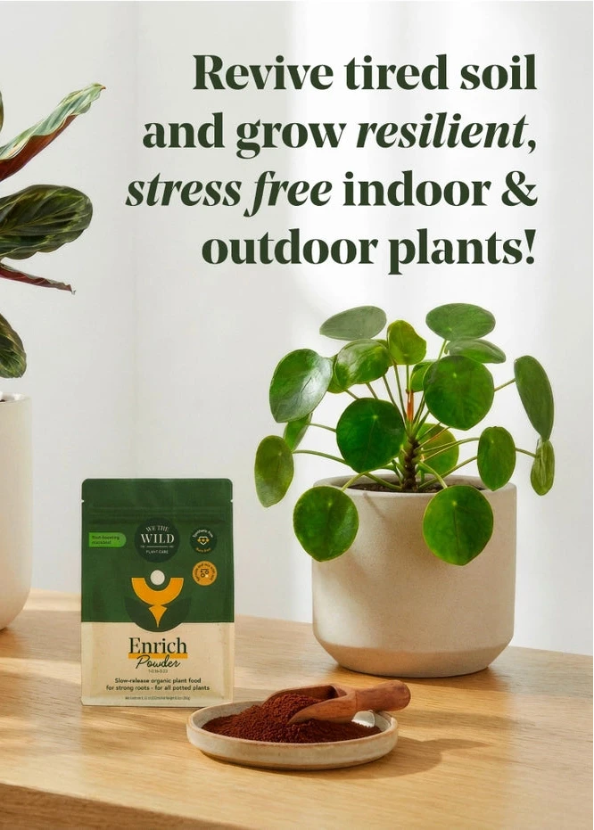 slow release indoor plant food We The Wild Enrich Powder Organic Plant Food & Soil Amendment