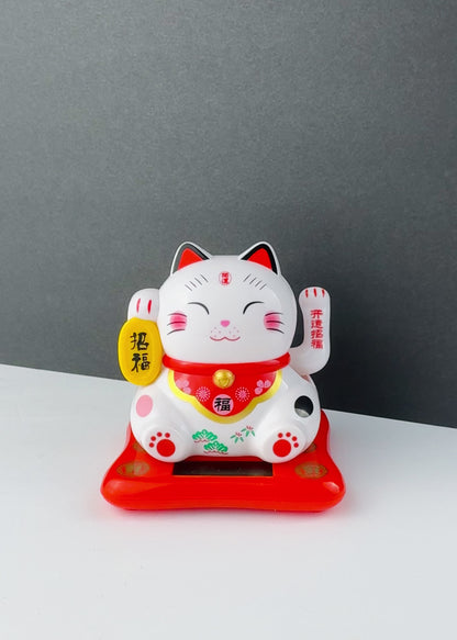 J-CAT08-D