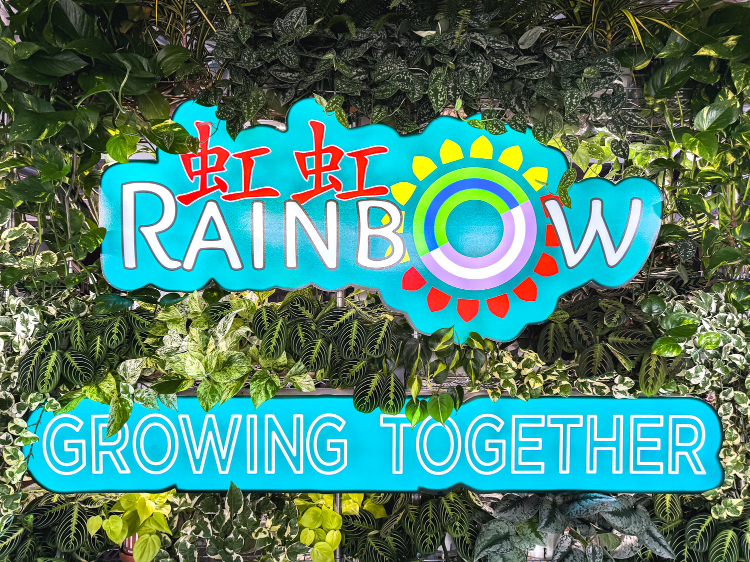 Rainbow Plantwall